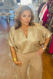 Shimmery knit Top